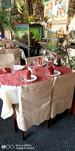 Comentarii opinii despre Chung Shing