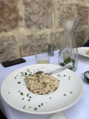 דולפין ים - Sea dolphin - הסעדה