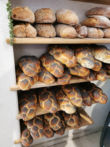 לשה – אפייה במדבר - מצפה רמון