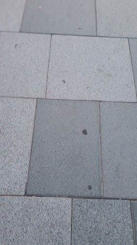 יודל'ה על החוף - בת ים