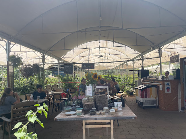 Comentarii opinii despre קפה בפטל - עגלת קפה וגלידה במרכז