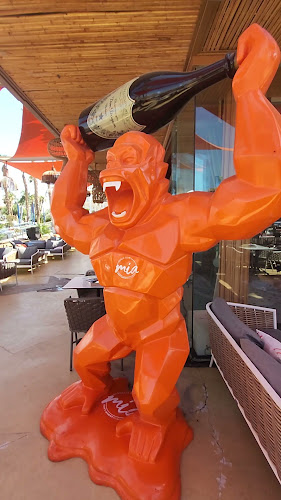 רח שביל, דרך פעמי השלום 8, אילת, 8814102