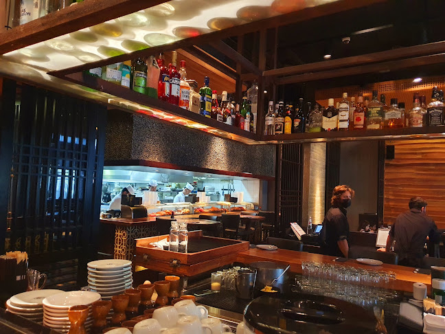 קיוטו - הרצליה