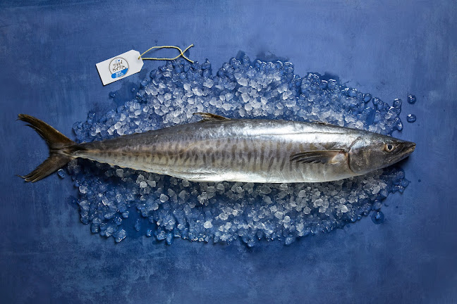 Opinii despre משק גורמה în הוד השרון - הסעדה