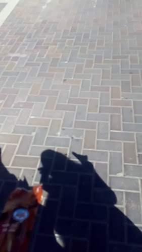 גלידות פלדמן חנות המפעל