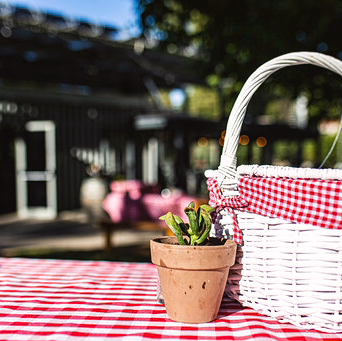 Deja Bu - דז'ה בו - ירושלים