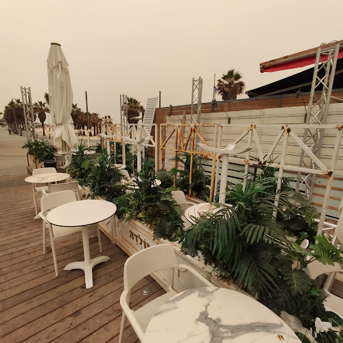 גולדה - הסעדה