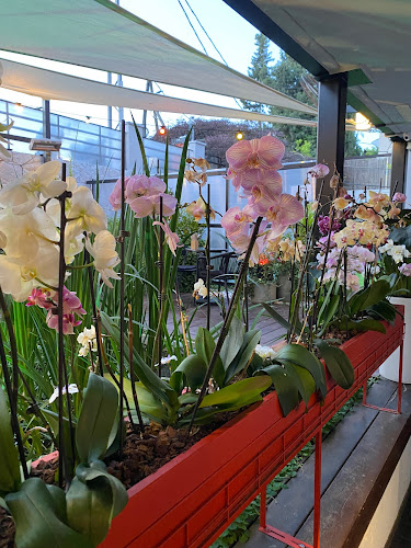 Comentarii opinii despre בנגקוק קיטשן תל אביב צהלה