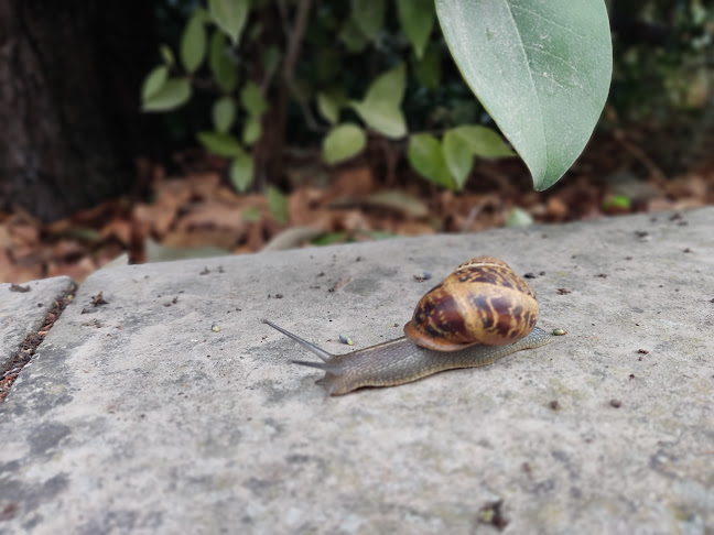 קוסובסקי, ירושלים