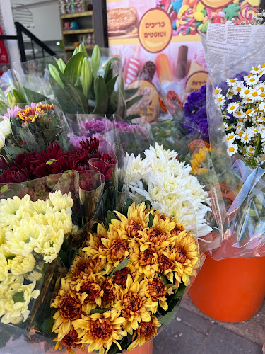 רש״י 59, ירושלים