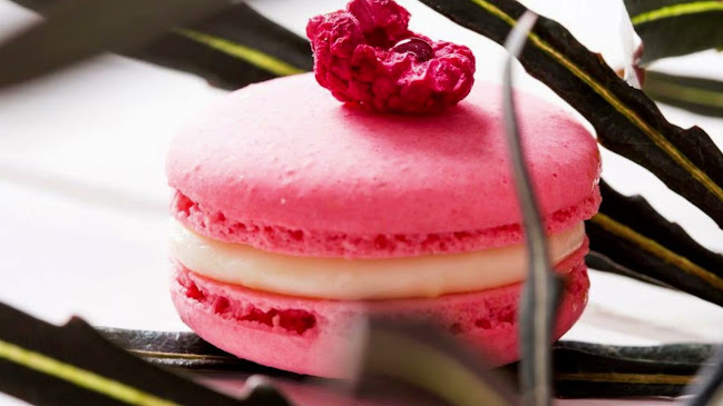 ארטייסט מגשי אירוח