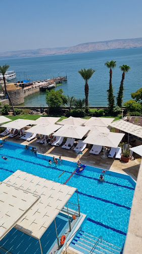 St urban wine bar - הסעדה