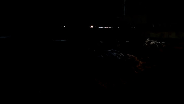 מסעדג - הסעדה