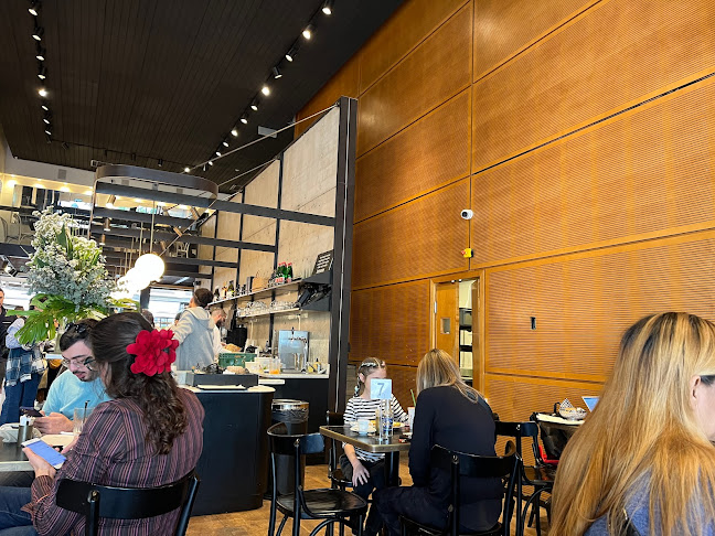 ארקפה - הסעדה