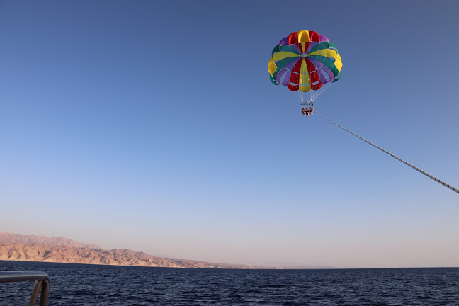 פלמינגו - הסעדה