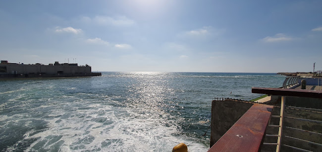 שוק הנמל, נמל תל אביב 12, תל אביב-יפו