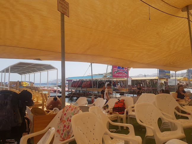 Opinii despre פלמינגו în אילת - הסעדה