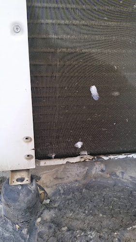 פיתה בסטה - סניף אשדוד - אשדוד