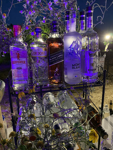 Comentarii opinii despre Dr Bar service