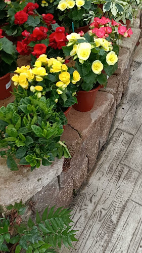 מקדונלד'ס - ביג באר שבע