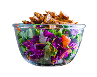 Burgers Bar בורגרס בר | המבורגר כשר באר שבע - הסעדה