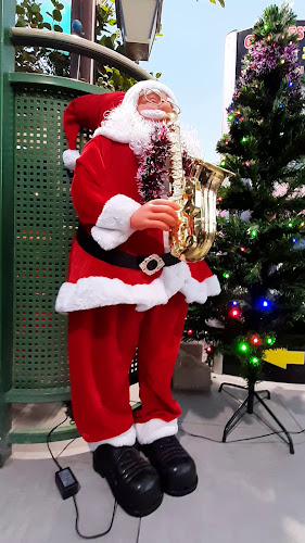 תרשיש 1, אילת