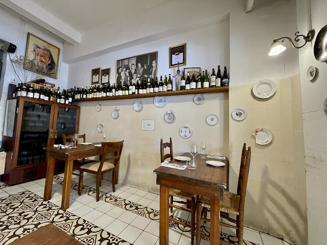 Comentarii opinii despre תלפיות