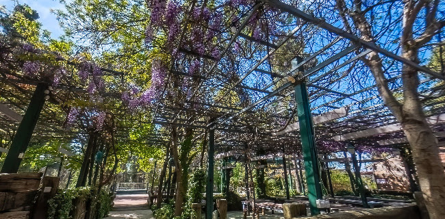 Comentarii opinii despre חוות בת יער