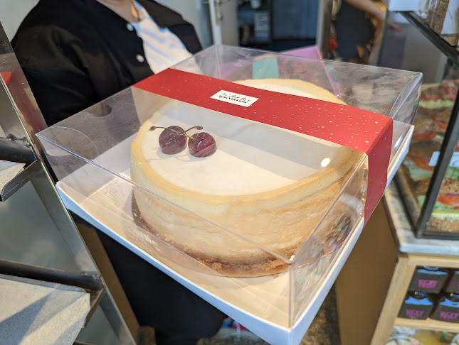 האורגים 12, חולון