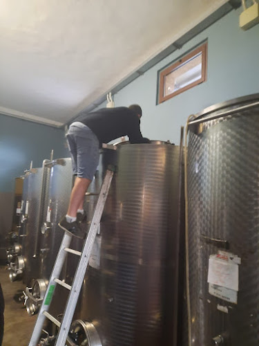 Opinii despre OBLASS WINE- יין אובלס în תל אביב-יפו - הסעדה