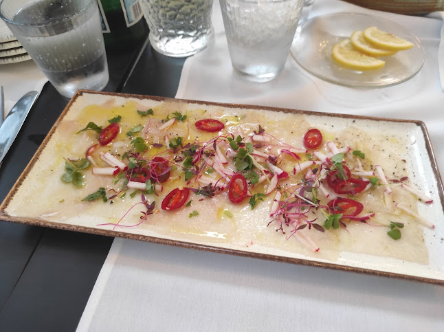 Comentarii opinii despre Matteo