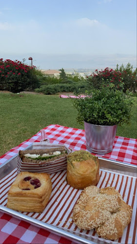 Opinii despre נינו עגלת קפה în מעלה גמלא - הסעדה