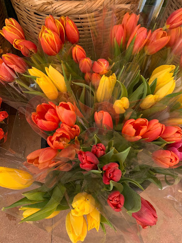 מרכז מסחרי, מודיעין מכבים רעות