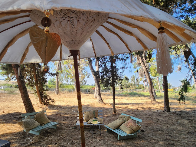 עגלתא - בני דרור