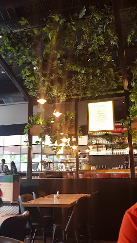 VIVINO - ויוינו פתח תקווה | כשר