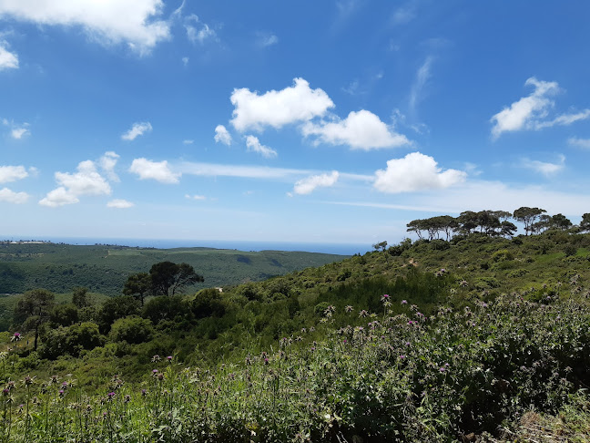 Horshat ha arbaim, נשר, 3009000