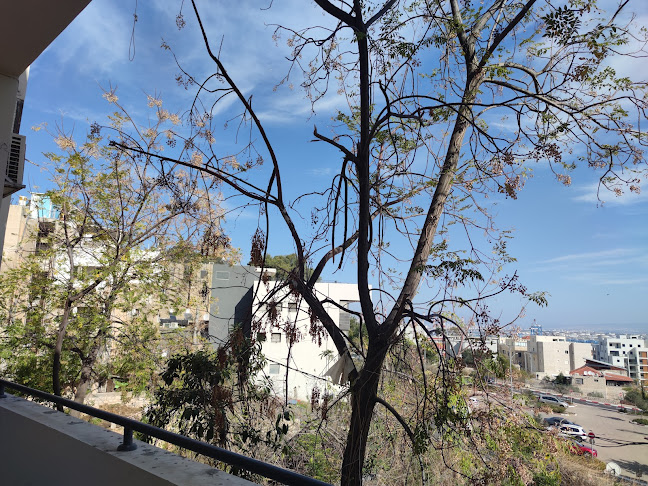 HQRN - Alternative arts & culture bar in Haifa - חיפה