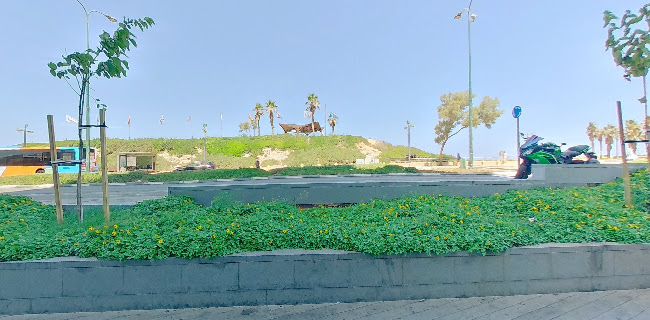 Comentarii opinii despre נישי