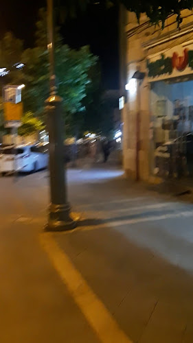 דולפין ים - Sea dolphin - הסעדה