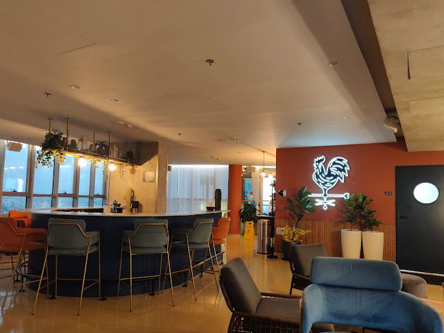 רופטופ בר - הסעדה