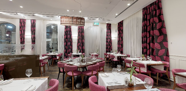 Opinii despre כינור בכיכר Kinor Bakikar în ירושלים - הסעדה