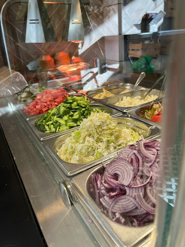 Comentarii opinii despre הרצוג