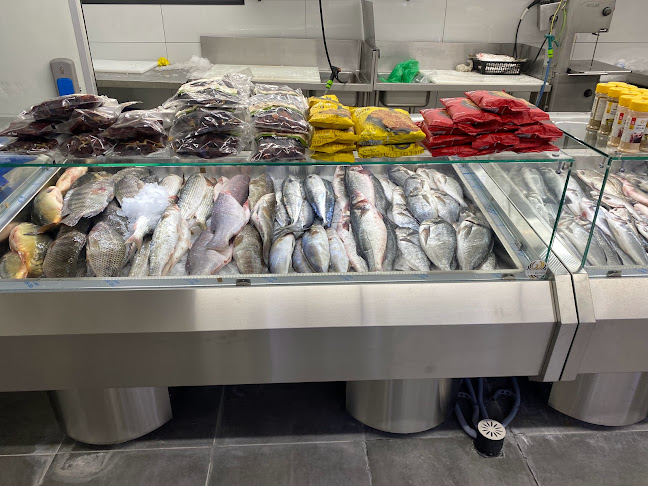 שירת הים - חנות דגים - בת ים