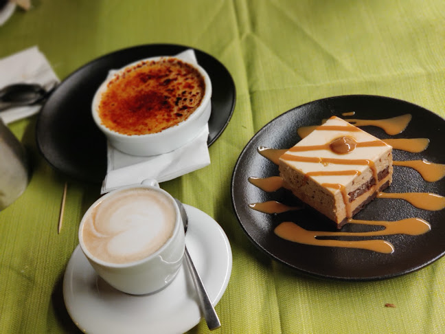 דולפין ים - Sea dolphin