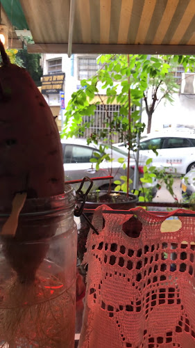 בתה וגריגה Bata Vegrega