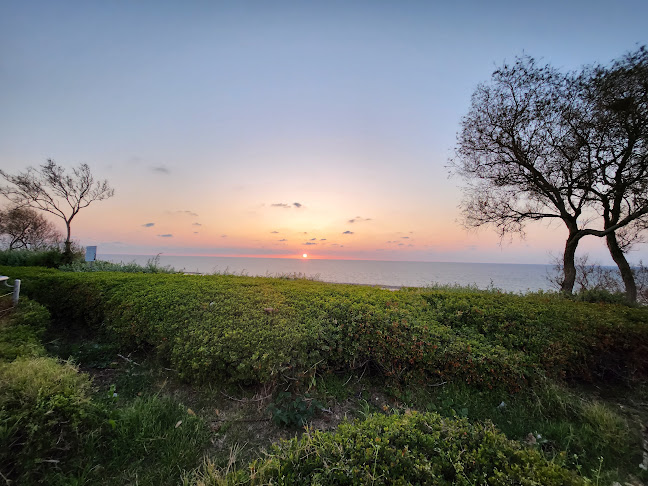 Comentarii opinii despre טיילת