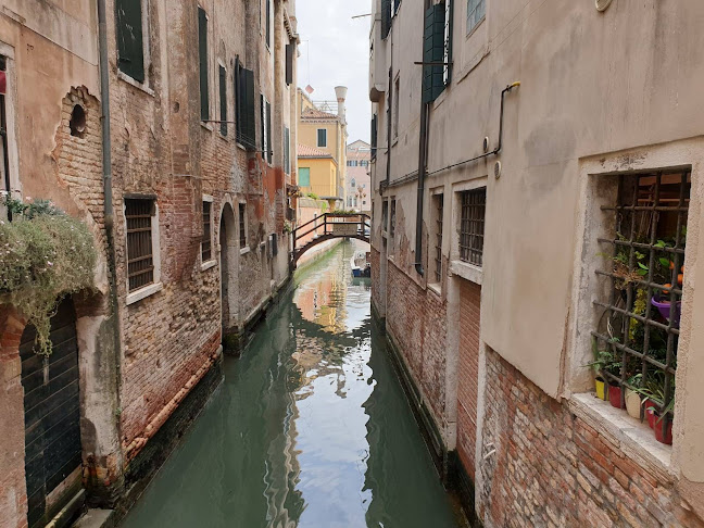 Opinii despre RFC Royal Fried Chicken în עראבה - הסעדה