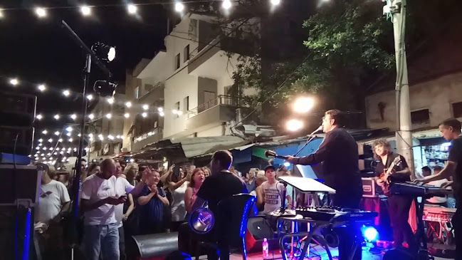 Comentarii opinii despre תלפיות