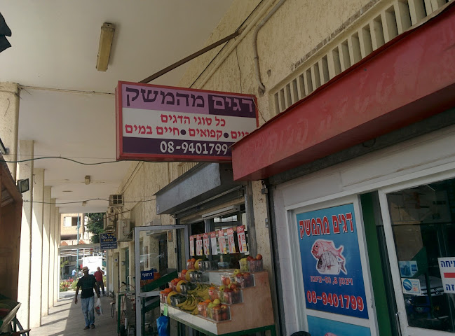 דגים מהמשק