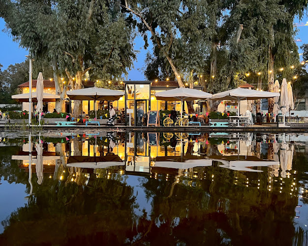 לוין מיכאל וחנה, ראשון לציון